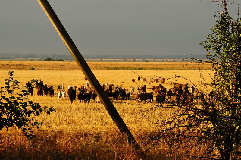 Kazakhstan, Asie Centrale
